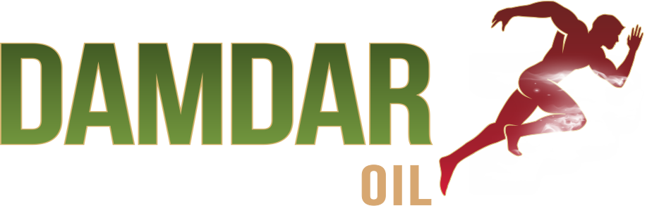 Damdar Logo